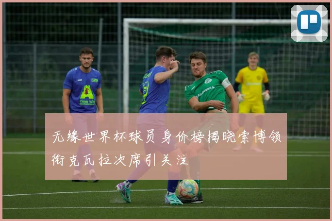 无缘世界杯球员身价榜揭晓索博领衔克瓦拉次席引关注
