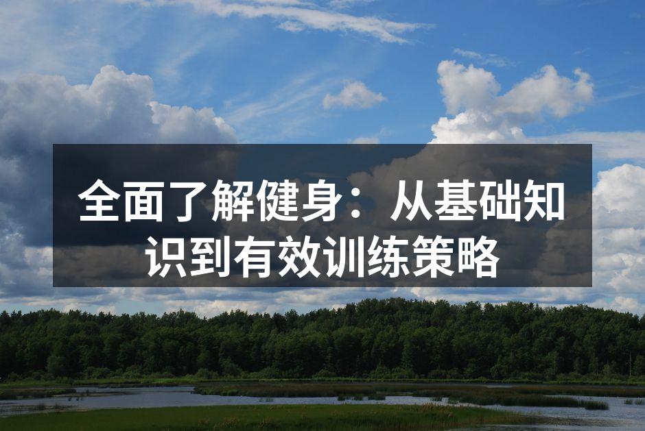 多样化的运动器材选择