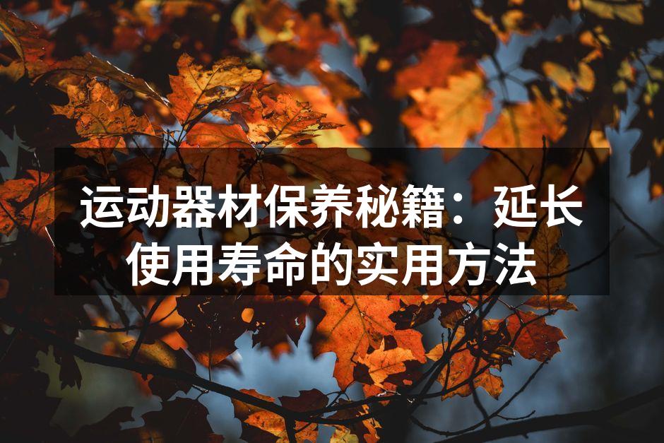 定期清洁跑步机，确保性能稳定