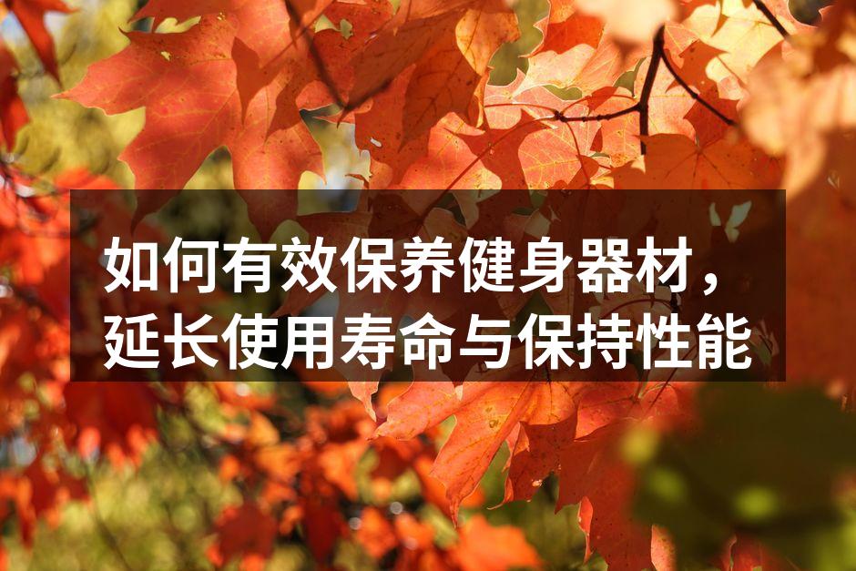 认真清洁健身器材